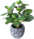Mini Potted Artificial Plants Real Looking Plastic Fiddle Leaf Fig Plant with Rustic Black Cement Planter for House Office Desk Decor