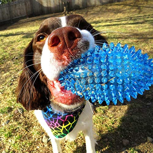 Gnawsome™ 4.5” Spiky Squeaker Football Dog Toy - Large, Cleans Teeth and Promotes Good Dental and Gum Health for Your Pet, Colors Will Vary