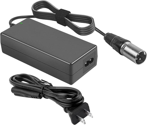 Tree 60W Scooter Battery Charger for LASHOUT Electric Bike, 24V 2A Lithium Charger Compatible with Jazzy Power Chair,Pride Hoveround Mobility,Schwinn S300 S350 S400 S500 Ezip 400 Mountain Trailz