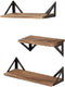 AZL1 Life Concept, Rustic Set of 3 Decorative Floating Mounted Wall Shelves Ledge Perfect for Home D©cor, Trophy Display, Photo Frames in Study Living Room Bathroom Kitchen office, Natural Wood