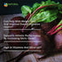 Beet Root Capsules - 1200mg Per Serving - 200 Beet Root Powder Capsules - Beetroot Powder Supports Blood Pressure, Athletic Performance, Digestive, Immune System (Pure, Non-GMO & Gluten Free)
