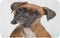 Adowyee 20"x30" Bath Mat Brown Dog Boxer 12 Months Old in Front Cozy Bathroom Decor Bath Rug with Non Slip Backing