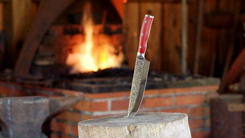 HISTORY - Forged in Fire - Stainless Steel Knives (2 Piece - Stainless Steel Chef and Paring Knife)