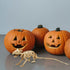 Skeleton Cat and Rat Skeleton for Halloween Decorations, Skeleton Animal Yard Decor and Reaper Bones Animals