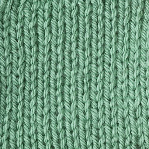 Caron Simply Soft Solids Yarn (4) Medium Gauge 100% Acrylic - 6 oz - Sage - Machine Wash & Dry