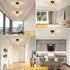 DLLT Industrial Semi Flush Mount Ceiling Light, Clear Glass Shade Ceiling Light Fixture, Farmhouse Ceiling Lighting for Hallway, Entryway, Passway, Bedroom, Corridor, Foyer (Bulb Not Included)