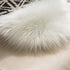 Carvapet Faux Sheepskin Fur Rug Luxury Soft Chair Cover Couch Seat Cushioned Fake Fur Pad Plush Area Rugs Bedside Throw Rug for Bedroom and Living Room, 2ft x 3ft, White