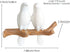HaakLux Bird Hat Hook,Wall Hanger Decor Hooks,Mounted Resin Cast Ceramic,Tree Branch with Unique Hanging White Dove for Coat Towel Key Clothes in Bathroom Kitchen Bedroom Living Room(2 Birds)