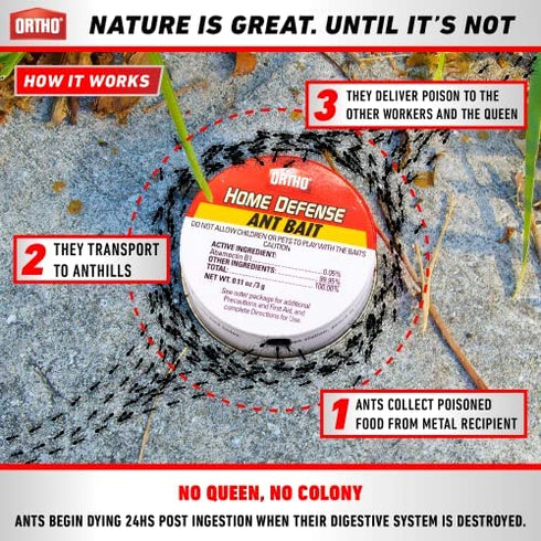 Ant Killer by Ortho Home Defense 4+1Pk|Metal Ant Traps Indoor & Ant Killer Outdoor | Ant Killer Indoor Safe for Pets and Kids |Effective Ant Trap & Ant Bait Indoor Ant Killer | Ants Killer for House