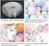 Pastel Balloon Garland Kit 202Pcs Rainbow Macaron Balloons Arch Kit with White Foil Fringe Curtain for Birthday Party Baby Shower Decorations