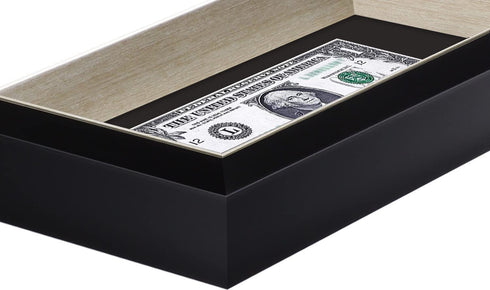 Space Art Deco, Black Dollar Bill/License Holder Frame with Silver Beveled Edge with Black Mat, Tempered Glass - Easel Stand/Wall Mount - Sawtooth Hangers (Black/Silver, 1-Pack)