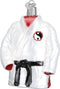 Old World Christmas Sports Collection Glass Blown Ornaments for Christmas Tree Martial Arts Robe