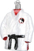 Old World Christmas Sports Collection Glass Blown Ornaments for Christmas Tree Martial Arts Robe