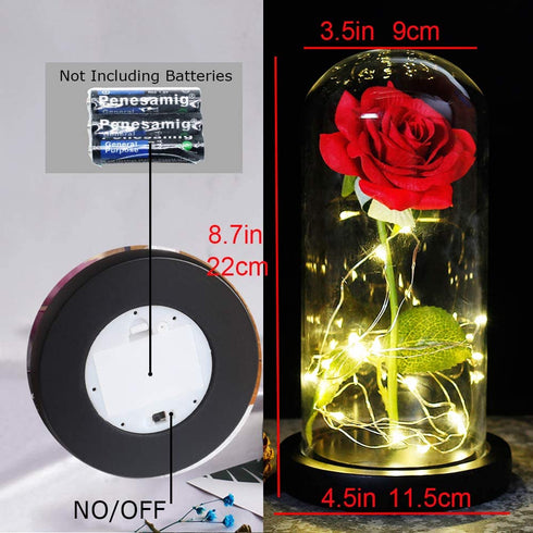 Beauty and The Beast Red Rose in A Glass Dome On A Wooden Base for Valentine's Gifts LED Rose Lamps (Black Bottom)