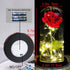 Beauty and The Beast Red Rose in A Glass Dome On A Wooden Base for Valentine's Gifts LED Rose Lamps (Black Bottom)