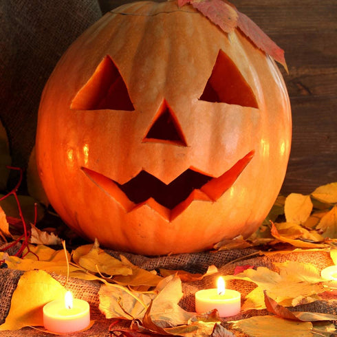 Unscented Tealight Candles Bulk Soy Tea Lite Candles Long Lasting Clean Burn Candles Set of 50