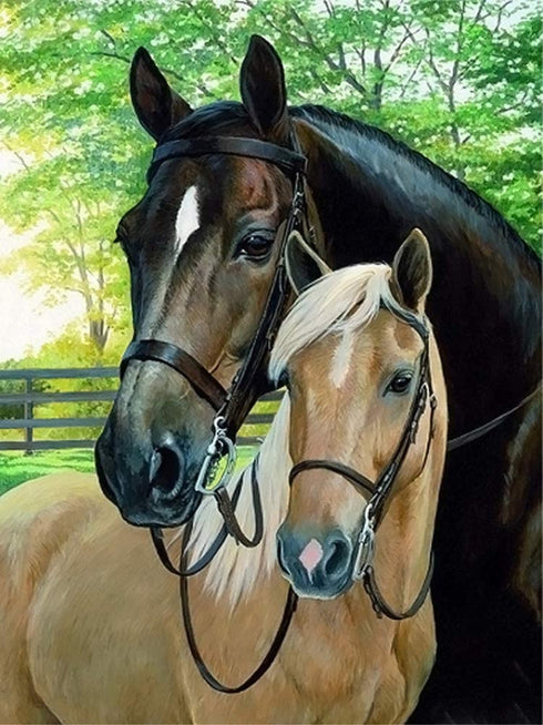 5D DIY Diamond Painting Kit, ZSNUOK 5D Diamond Art Kit Full Round Drill for Adults or Kids, Embroidery Dotz Kits Arts Craft Mosaic Making Cross Stitch for Home Wall Decor Two Horses 12x16 inches