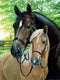 5D DIY Diamond Painting Kit, ZSNUOK 5D Diamond Art Kit Full Round Drill for Adults or Kids, Embroidery Dotz Kits Arts Craft Mosaic Making Cross Stitch for Home Wall Decor Two Horses 12x16 inches
