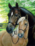 5D DIY Diamond Painting Kit, ZSNUOK 5D Diamond Art Kit Full Round Drill for Adults or Kids, Embroidery Dotz Kits Arts Craft Mosaic Making Cross Stitch for Home Wall Decor Two Horses 12x16 inches