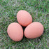 Liberty Imports Bulk Set of 24 Pcs Bouncy Eggs Realistic Fake Rubber Bouncing Balls (Brown)