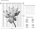 ArtBones Lotus Shower Curtain White Waterlily Elegant Flower Bathroom Shower Curtain Cloth Fabric with Hooks 72x72inch Black White (White Lotus)