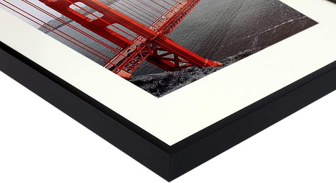 Frametory, 11x14 Aluminum Frame, 8x10 Photo with Ivory Mat for Wall Display, Sawtooth Hanger, Swivel Tabs, Spring Clips Great for Photos, Artworks, Posters (Black, 1-Pack)