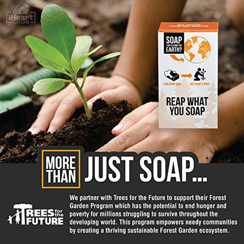 Organic Turmeric Soap Bar (Large 6 Ounce) Made in USA (Turmeric Helps Minimize Acne, Pores, Blemishes) Bright Beautiful Natural Glowing Skin Soap (Spicy Clove Aromatherapy)