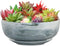 G EPGardening 8in Marble Pattern Large Round Succulent Planter Pot Modern Flower Pot Indoor and Outdoor Planter with Marble Tray