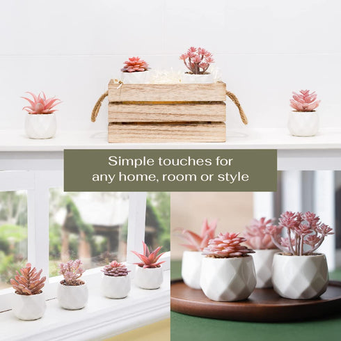 VIVERIE Faux Succulents in White Ceramic Pots (Set of 4) - Mini Life-Like Artificial Succulent Plants for Office Desk, Home Shelves, and Other Decoration Spaces