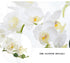 U'Artlines 38 Inch Artificial Butterfly Orchids Branches 4PCS Greenery Plants for Home Decoration(4pcs White)