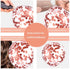 Fancypartyshop 14th Birthday Decorations - Rose Gold Happy Birthday Banner and Sash with Number 14 Balloons Latex Confetti balloons Ideal for Gir 14 Years Old Birthday Rose Gold