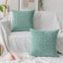 Home Brilliant Modern Decorative Throw Pillow Protectors Super Soft Chenille Plush Velvet Cushion Covers for Kids, 20x20 inches, Set of 2, Teal