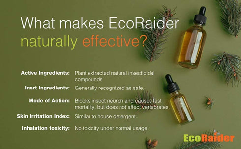 Bed Bug Killer by EcoRaider 16 oz, Fast and Sure Kill with Extended Residual Protection, Natural & Non-Toxic, Child & Pet Friendly