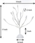 Money Tree Gift Card Holder with 10 Clips and 25 LED Light Up Lights Present Card Picture Display Tree Table Stand Creative Gift for Christmas/Birthday/Graduation Party