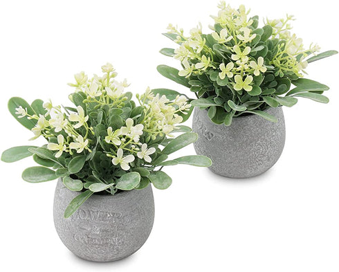 Zuvas Fake Plants Small Eucalyptus Faux Plants in Pots, 2 Pack Mini Potted Artificial Plants, Yellowish Fake Flowers and Greenery Fake Leaves for Office, Home, Desk, Table, Shelf Decor - 5.9? x 7.9?