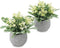 Zuvas Fake Plants Small Eucalyptus Faux Plants in Pots, 2 Pack Mini Potted Artificial Plants, Yellowish Fake Flowers and Greenery Fake Leaves for Office, Home, Desk, Table, Shelf Decor - 5.9? x 7.9?