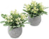 Zuvas Fake Plants Small Eucalyptus Faux Plants in Pots, 2 Pack Mini Potted Artificial Plants, Yellowish Fake Flowers and Greenery Fake Leaves for Office, Home, Desk, Table, Shelf Decor - 5.9? x 7.9?