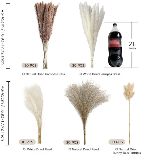 80Pcs Boho Home Decor Dried Flowers Arrangements, Nature Dried Pampas Grass Decor 17.32 Inch Small Pompous Grass Floral Reed Lagurus Ovatus Bunny Tail Grass Bouquet Bulk