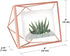 Umbra Prisma Picture Frame, 4 x 6 Photo Display for Desk or Wall, Copper