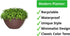Elly D©cor Set of 2 10" Wall Modern, Resistant and Self Watering Planter Plates for Indoor or Outdoor Areas Durable Plastic Plant Pots with Rattan-Like Finish, Chocolate Brown