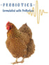 Manna Pro Poultry Grit with Probiotics | Insoluble Crushed Granite | 5 LB