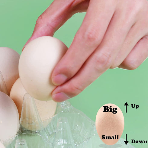 HILELIFE Plastic Egg Cartons Bulk - 40 Pack Clear Plastic Egg Carton Holds Up to 12 Eggs - 1 Dozen, Reusable Egg Carton for Family Pasture Chicken Farm, Refrigerator Storage
