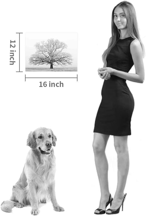 Winter Tree Canvas Print Artwork: Grey & White Landscape Print Wall Art for Bathroom (16'' x 12'')
