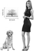 Winter Tree Canvas Print Artwork: Grey & White Landscape Print Wall Art for Bathroom (16'' x 12'')