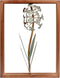 Funerom Metal Flower with Wood Frame Wall Decorations for Living Room(11.8×15.8 inchs)