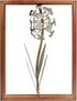 Funerom Metal Flower with Wood Frame Wall Decorations for Living Room(11.8×15.8 inchs)