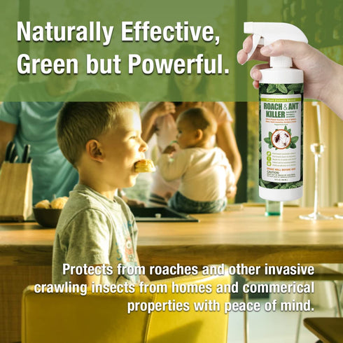 EcoVenger Roach & Ant Killer, Kills on Contact, Extended 4-Week Deterrence, Kills Ants & Other Indoor&Outdoor Crawling Insects, Natural & Non-Toxic, Pleasant Botanical Scent, Safe for Children & Pets