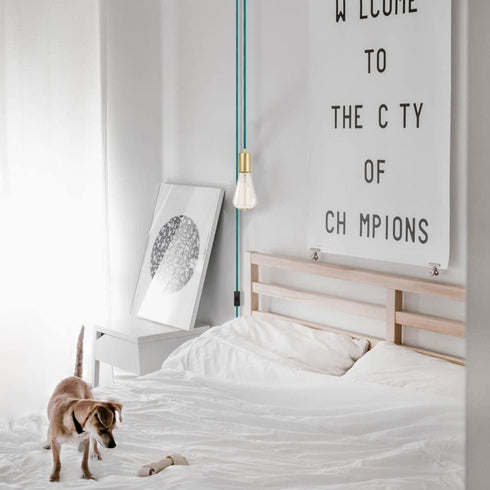Globe Electric 69997 Emile 1-Light Plug-in Exposed Pendant, 15-ft Teal Cloth Cord, in-Line On/Off Rocker Switch, Brass Socket, 180"