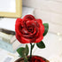 Beauty and The Beast Rose ,Rose Kit, Red Silk Rose and Led Light with Fallen Petals in Glass Dome on Wooden Base Valentine's Day Anniversary Birthday
