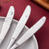 Aebeky 12-Piece Stainless Steel Table Knives,Dinner Knives Set,9.1-Inch (12-Piece)